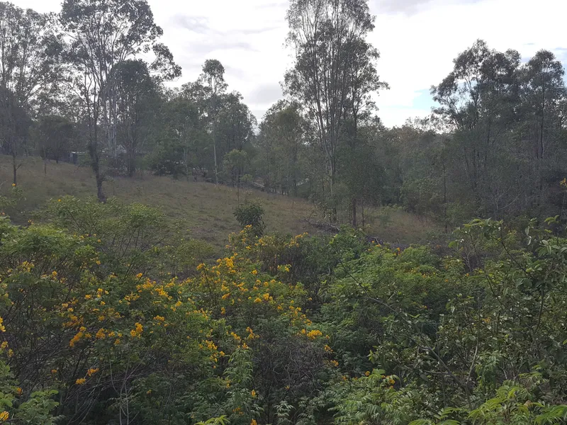 LAND THAT RETAINS THE NATURAL ENVIRONMENT