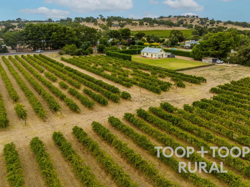 Threefold Farm - Quality Barossa Living