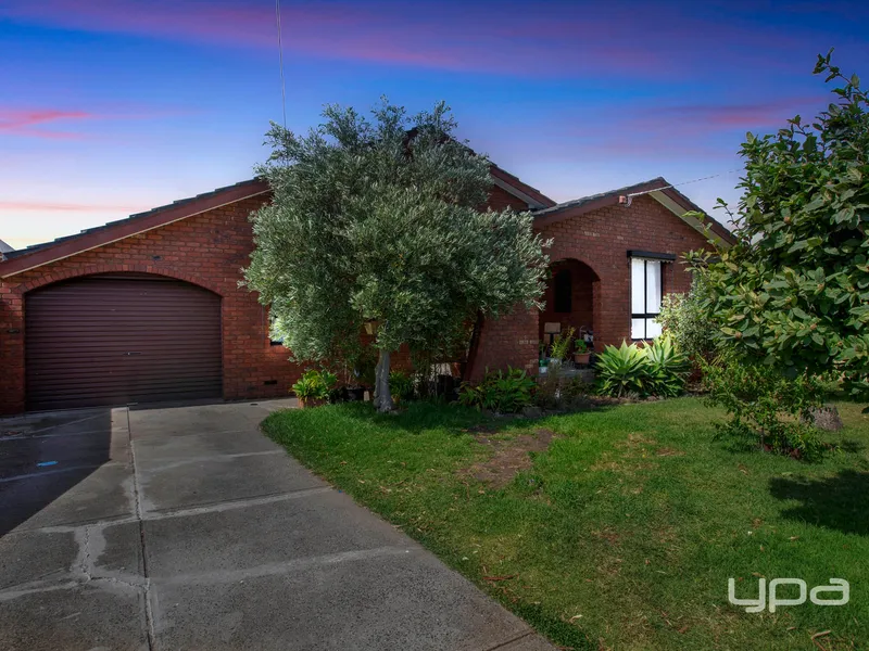 Family Friendly Surrounds