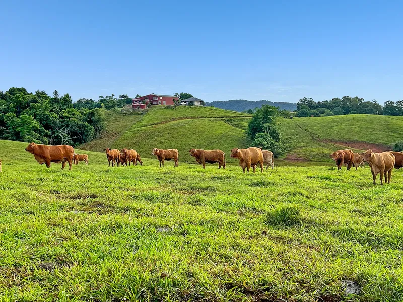 100 ACRES ABSOLUTE STUNNING 360 DEGREE VIEWS -$1.6 M