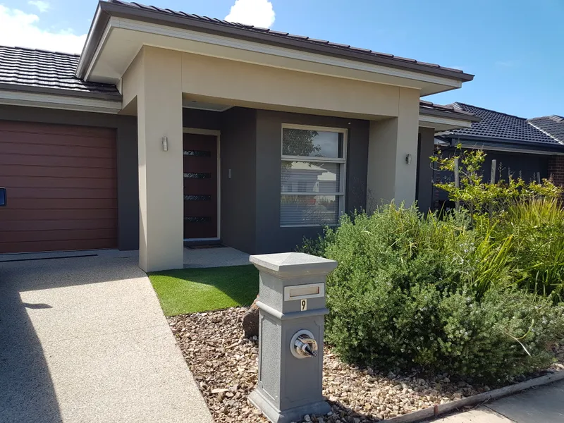 WONDERFUL WARRALILY!