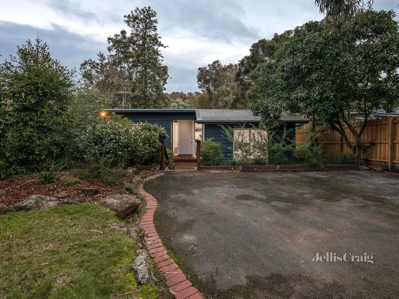 Infinite leafy appeal