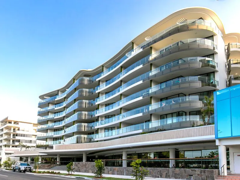 This is .......The Cosmopolitan Cotton Tree