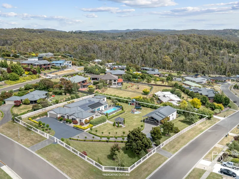 The Ultimate Family Entertainer