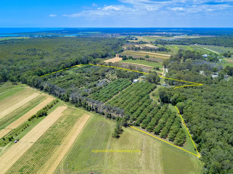 AVOCADO FARM OFFERING LIFESTYLE & INCOME ON 12.17ha