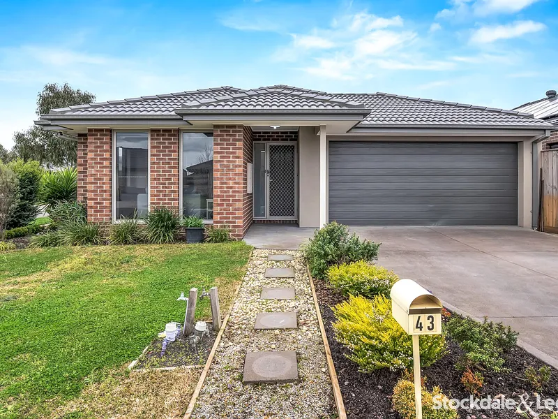 The Perfect Family Home !
