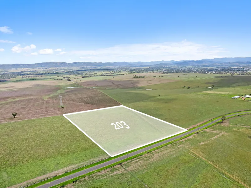 Lot 203 