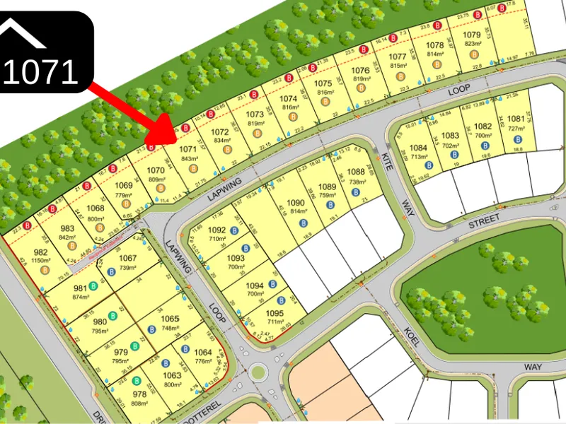 NEW BLOCKS - Available Now!