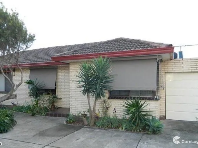 CUTE ON ELIZABETH STREET