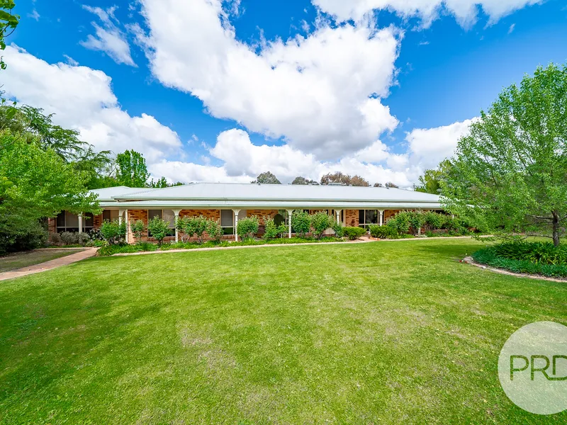 A Home Amongst the Gum Trees