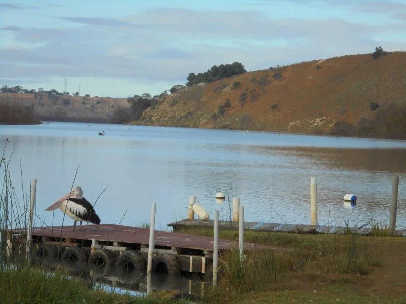 Great Holiday Location at Mypolonga