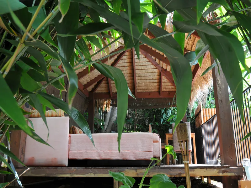 Bali inspired oasis! 