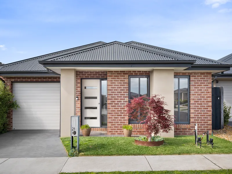 Practical, low maintenance and effortless