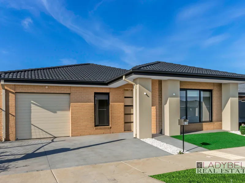 Brand New Family Home