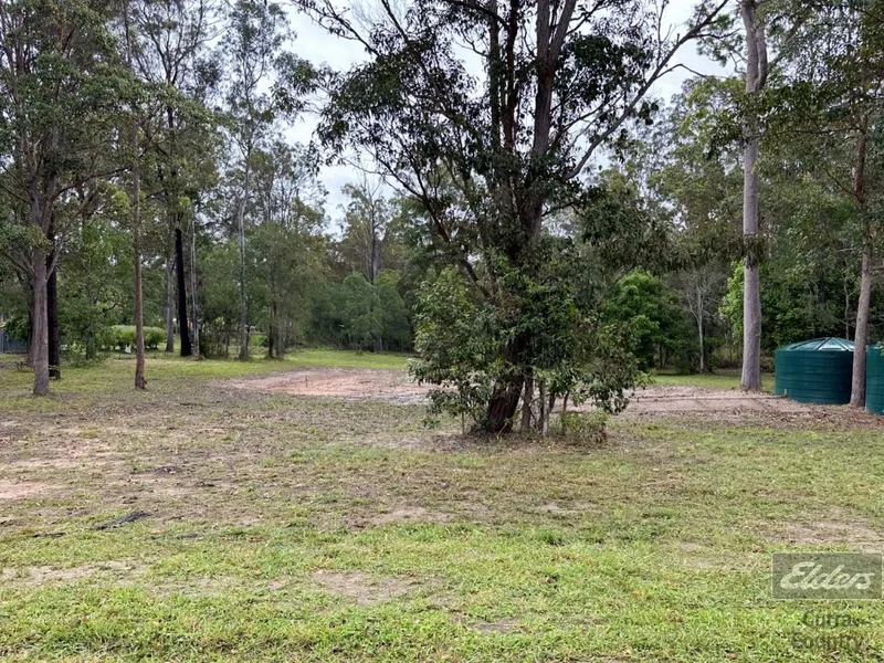 WHAT A BEAUTY IN BAUPLE!