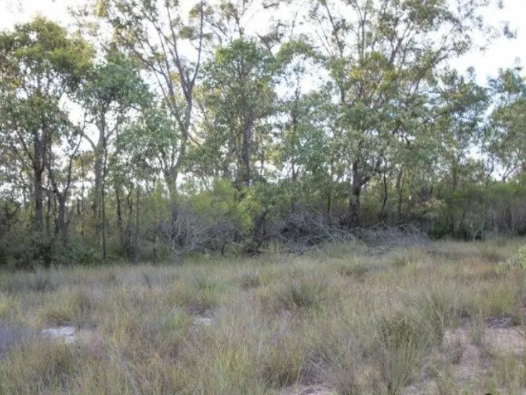 HOT SALE! Only $3700 per acre
