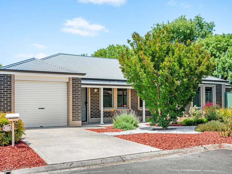 Hi, I'm Neat as a Pin...