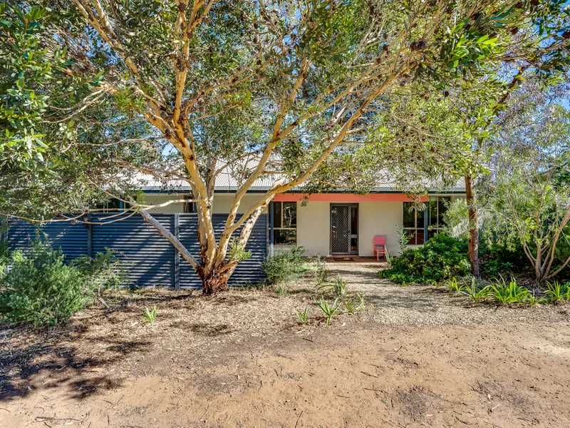 Hidden Gem Minutes from the beach!