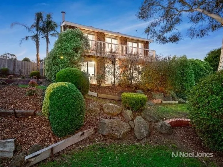 The Perfect Entertainer