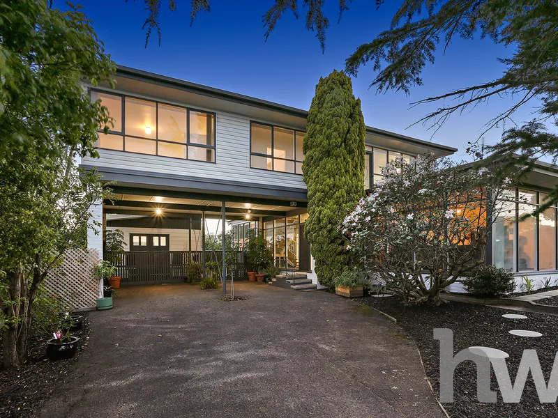 KING OF THE HILL IN NEWCOMB!