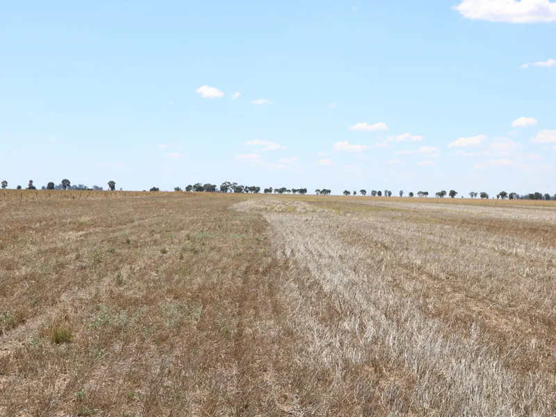 GAIN SCALE FOR YOUR FARMING BUSINESS