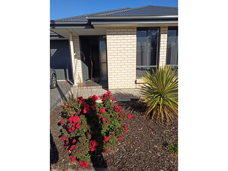 3 Bed 2 Bath + Solar Panels