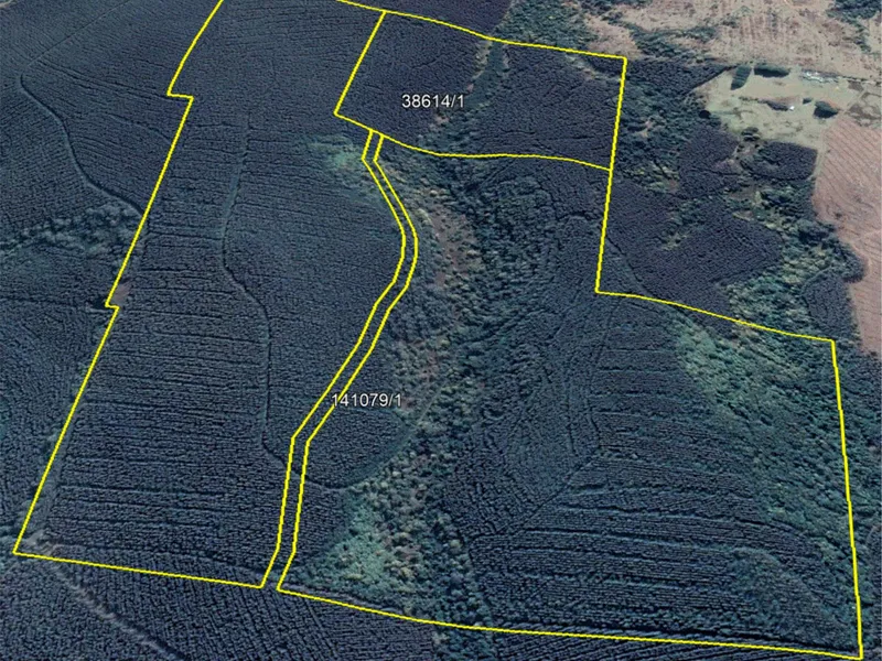 Mature Forestry Investment