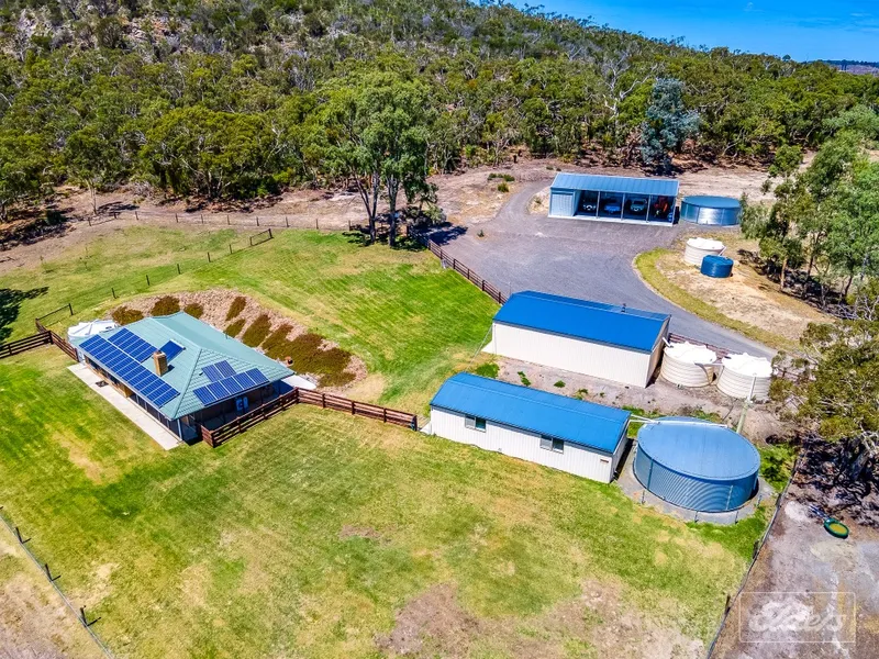 Plan your productive escape amongst nature on a satisfying 80 acres.