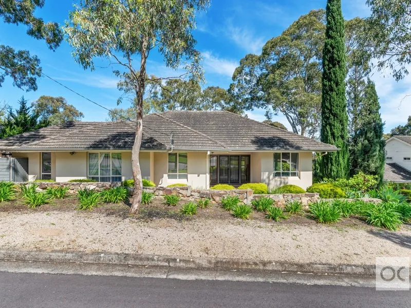 Peaceful family haven with room for everyone