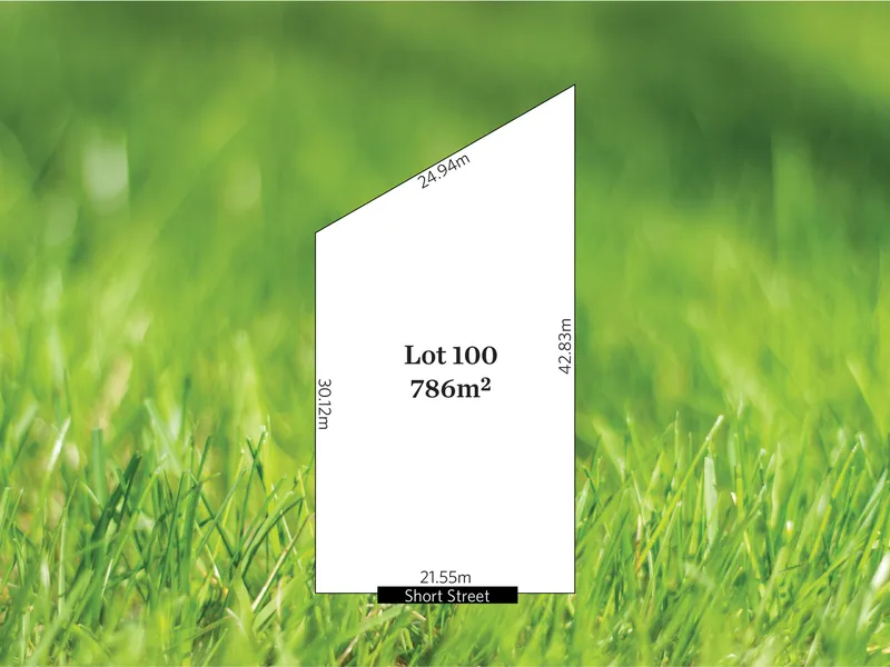 Prime vacant allottment