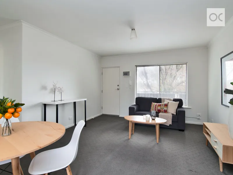 The perfect starter or portfolio addition