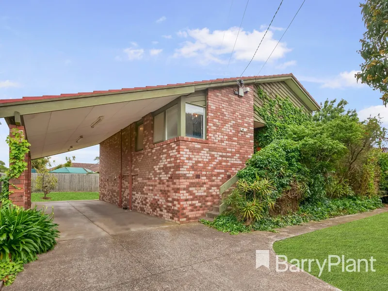 The One You've Been Waiting For!