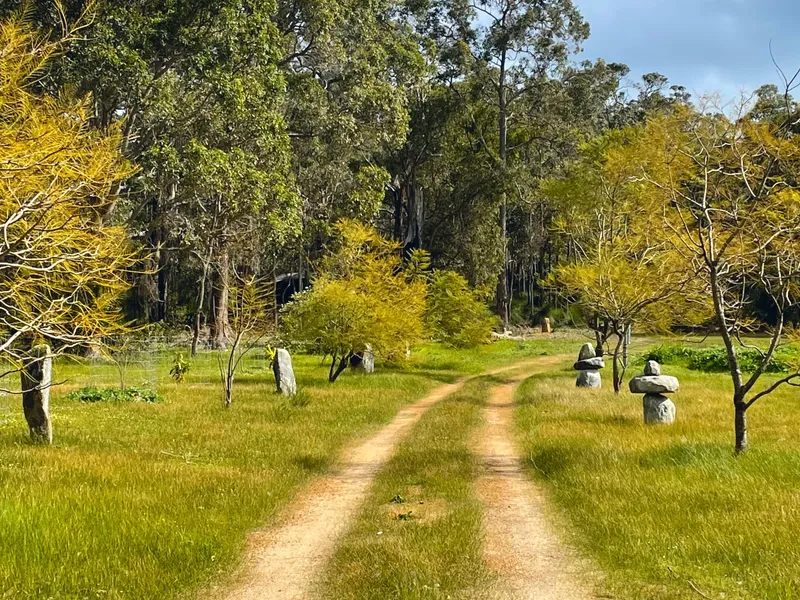 The only one! Bushland and birdsong