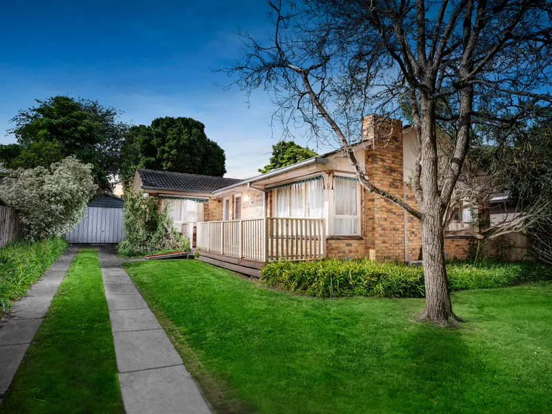 A blank canvas full of promise