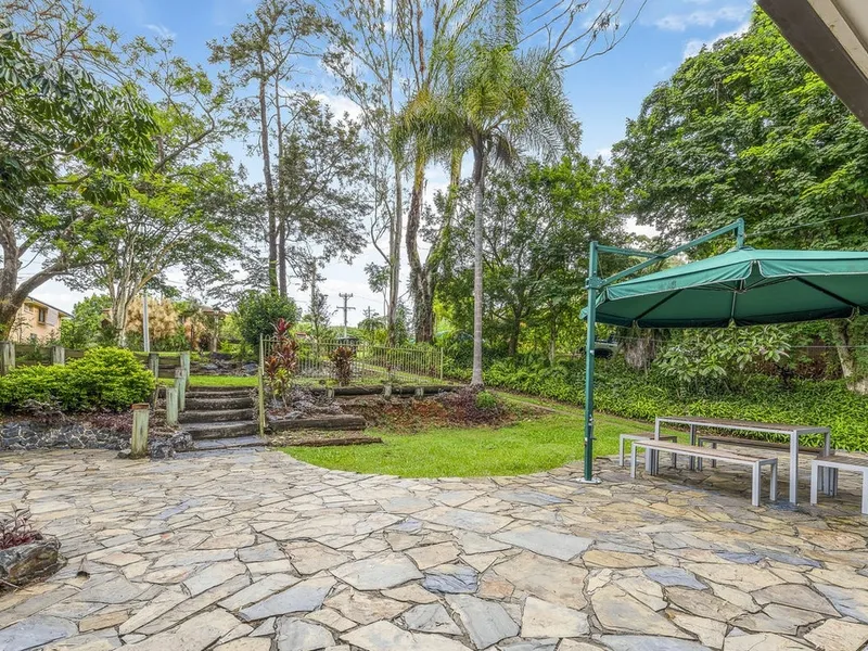 A slice of rainforest Paradise in your backyard!