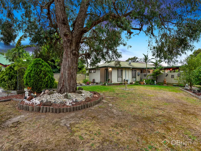 Half an acre in town!