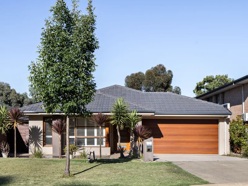 Family Entertainer With Parkland Backdrop