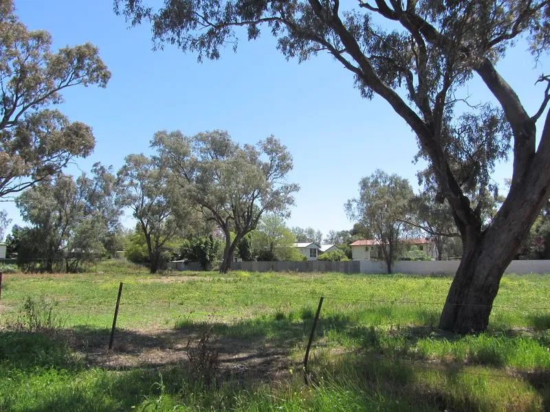 Large Residential Building Allotment