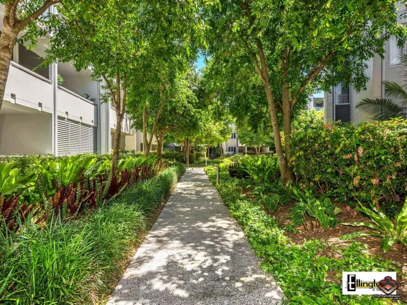 Ellington Freshly Painted