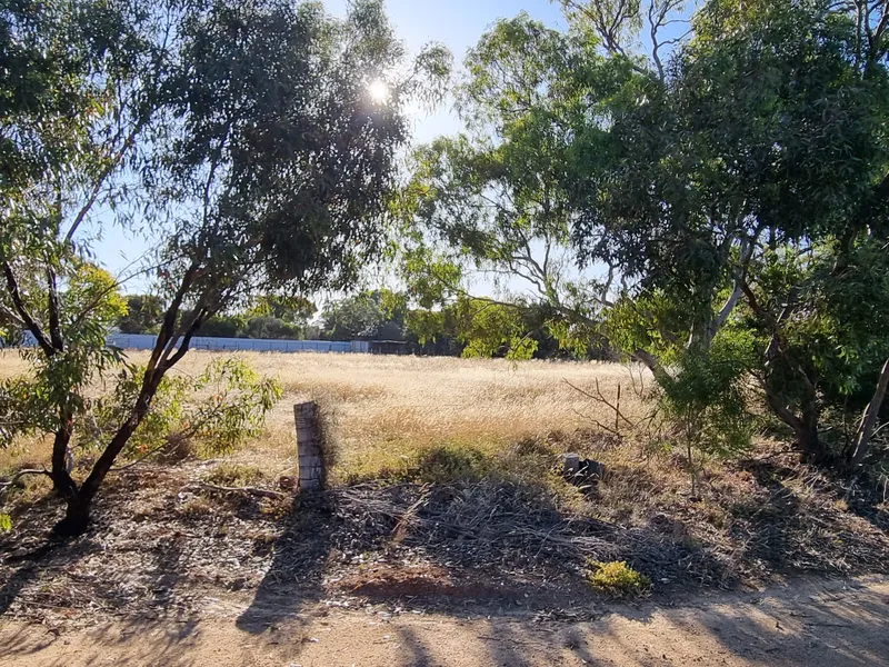 See The Sea & Tranquility