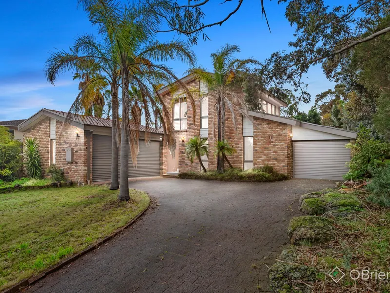 Tropical Palmscape On Billoo Park