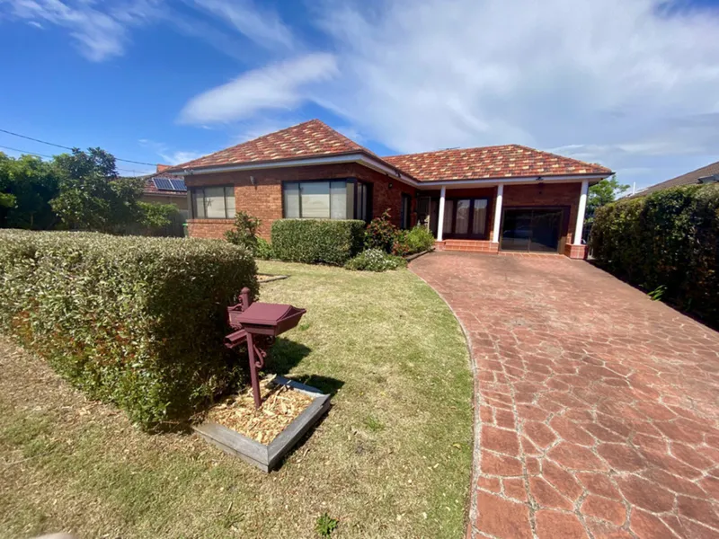 Sunny Pet-friendly Paradise