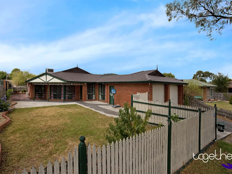 FANTASTIC FAMILY FAVOURITE!