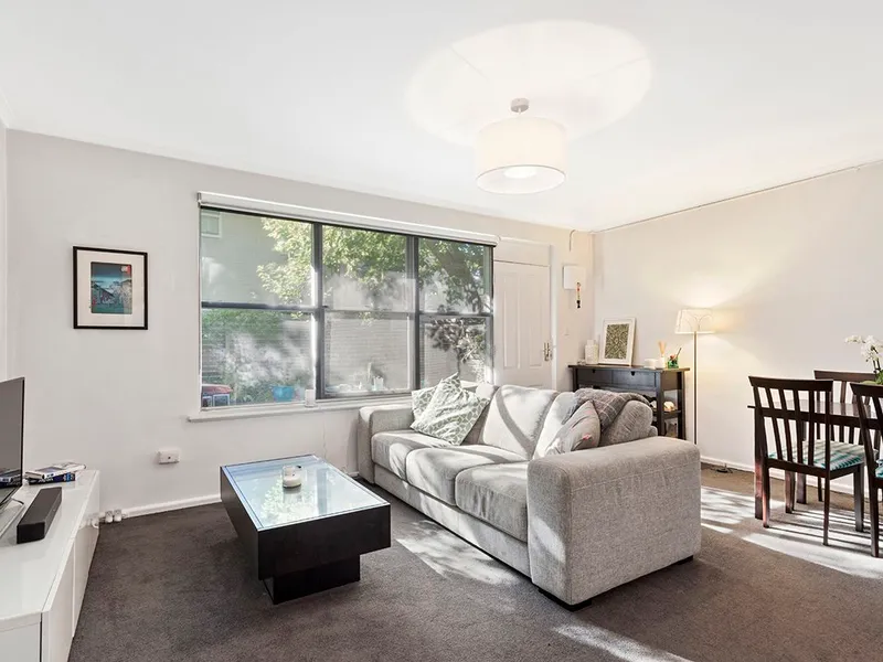 Glistening with light ground-floor Caulfield apartment