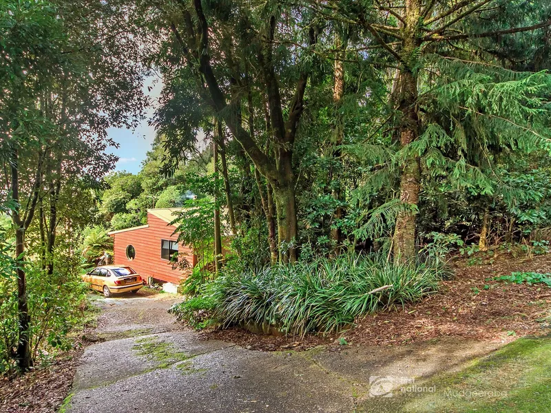 Rustic Mountain Home APPLICATIONS PENDING