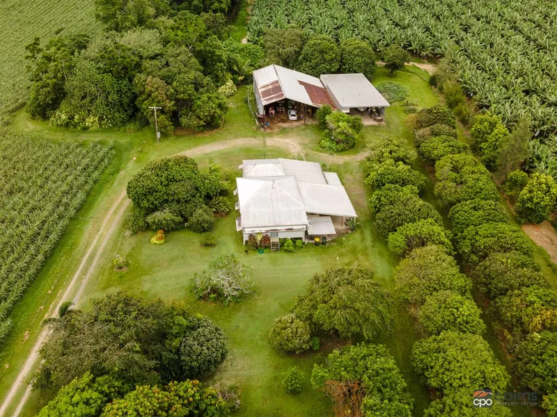 Country Fruit Farm on 3.5 Acres Close to Cairns