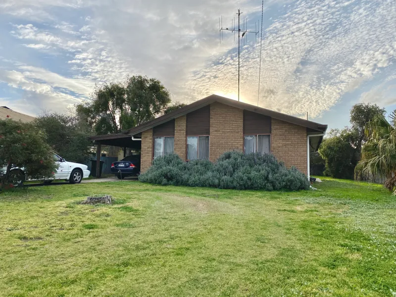 A Great Starter.....