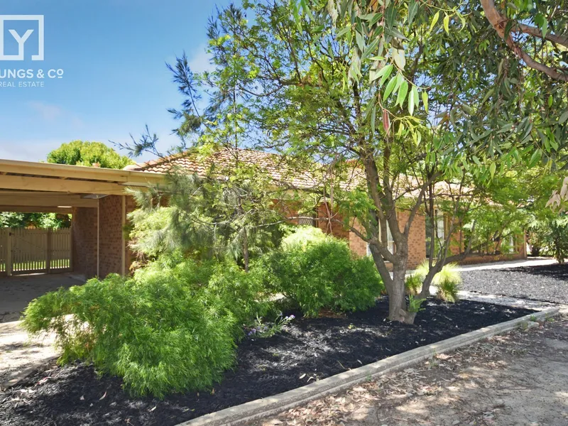 COMFORTABLE & AFFORDABLE