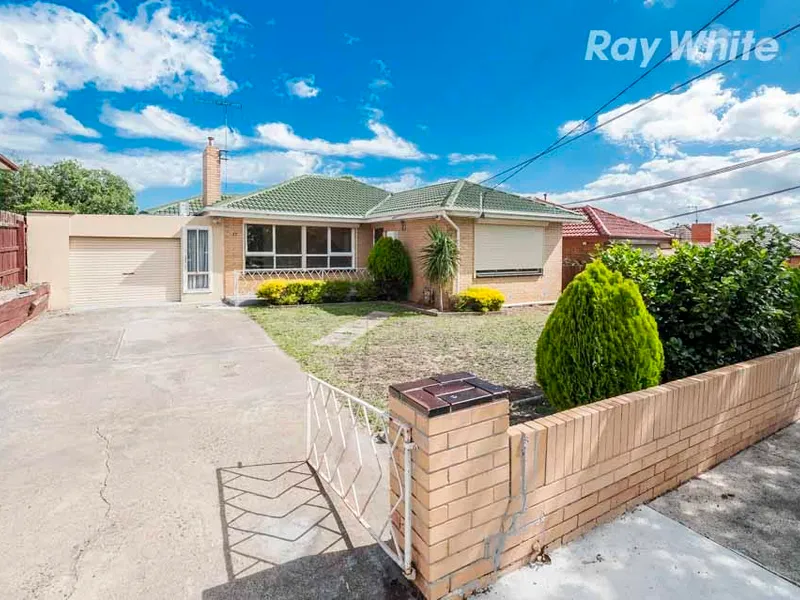 Perfect Start or Great Investment!