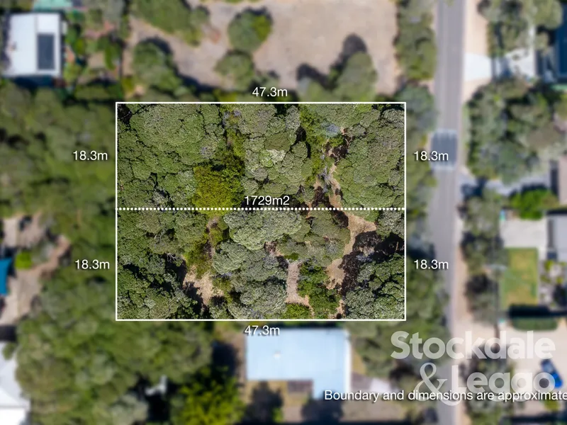 Endless Opportunities On Two Blocks